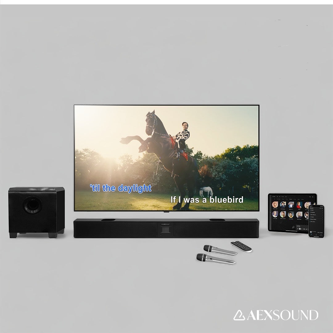 ISEE Media Player x PartyHouse Soundbar 2.1 卡拉OK套裝